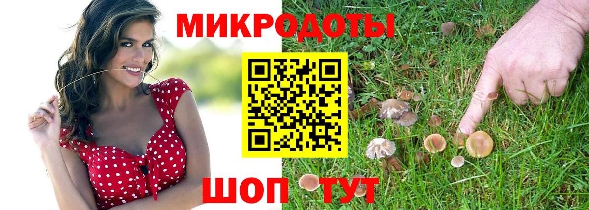 Омск  где найти   Галлюциногенные грибы GOLDEN TEACHER  Вход с VPN  Галлюциногенные грибы Psilocybine cubensis 
